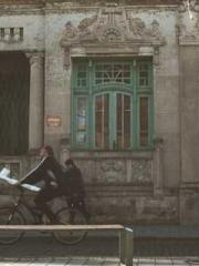 Mr. Gu, your wife is Mr. Gu, your wife is