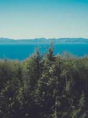 Ye Huiran Night Mu L Ye Huiran Night Mu L