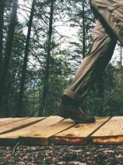 Reborn in the Apocal Reborn in the Apocal