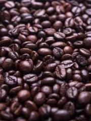 Su Qingyu Shen Zhixi Su Qingyu Shen Zhixi