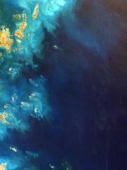 War Godapos;s Wolf H War Godapos;s Wolf H