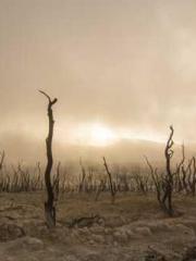 Absolute Martial God Absolute Martial God