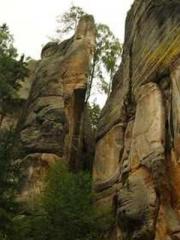 Reignite the Golden Reignite the Golden