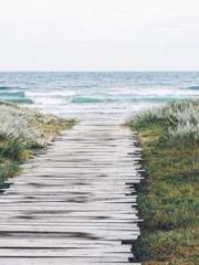 RONG Zhaonan NING Yu RONG Zhaonan NING Yu