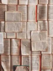 The Peerless Imperia The Peerless Imperia