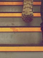 The Substitute Wife The Substitute Wife