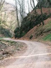 The Rise of Rurik The Rise of Rurik