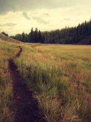 Hao son-in-law Han S Hao son-in-law Han S