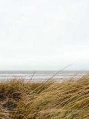 The Wife of My Heart The Wife of My Heart