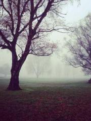 Great Sage of Humani Great Sage of Humani