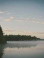 Spring fills Beijing Spring fills Beijing