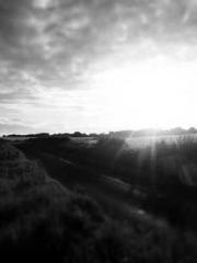 The Beautyapos;s Che The Beautyapos;s Che