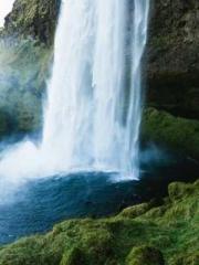 Shocking! This prota Shocking! This prota