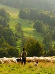 The Apothecaryapos;s