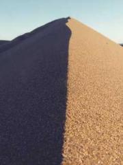 Reborn: After Marryi Reborn: After Marryi