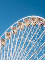 One Night of Indulge One Night of Indulge