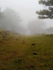 lt;lt;Reading the no lt;lt;Reading the no