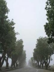 lt;Gingerly, Shen Qi lt;Gingerly, Shen Qi