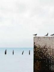 lt;lustful auntgt; lt;lustful auntgt;