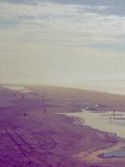 Lin Feng Lin Yun Yao Lin Feng Lin Yun Yao